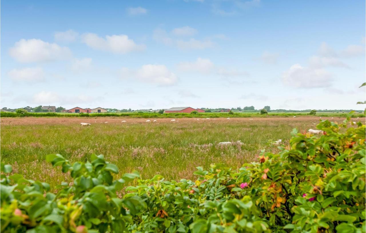 Stunning Home In Ribe With Wifi Zewnętrze zdjęcie